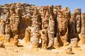 Petrified forest, Cape Bridgewater